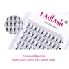 Fadlash Premade Eyelash Extension, 10D, 0.07 mm, C curl, 13–16