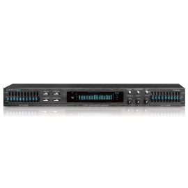 Technical Pro Professional Dual 10 Band Equalizer with Individual LED Indicators
