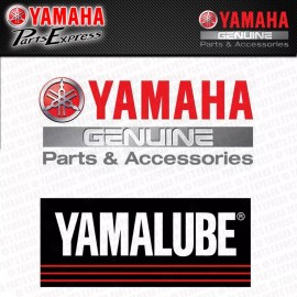Yamaha 2005 - 2024 YAMAHA YZ250 YZ 250 X COMPLETE OEM TOP END PISTON KIT W/ GASKETS "B"