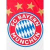 FC Bayern Munich Logo Hissfahne 180 x 120 CM