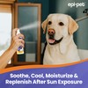 Epi-Pet After Sun Care Nourishment Spray, Veterinary Formulated Dog Skin