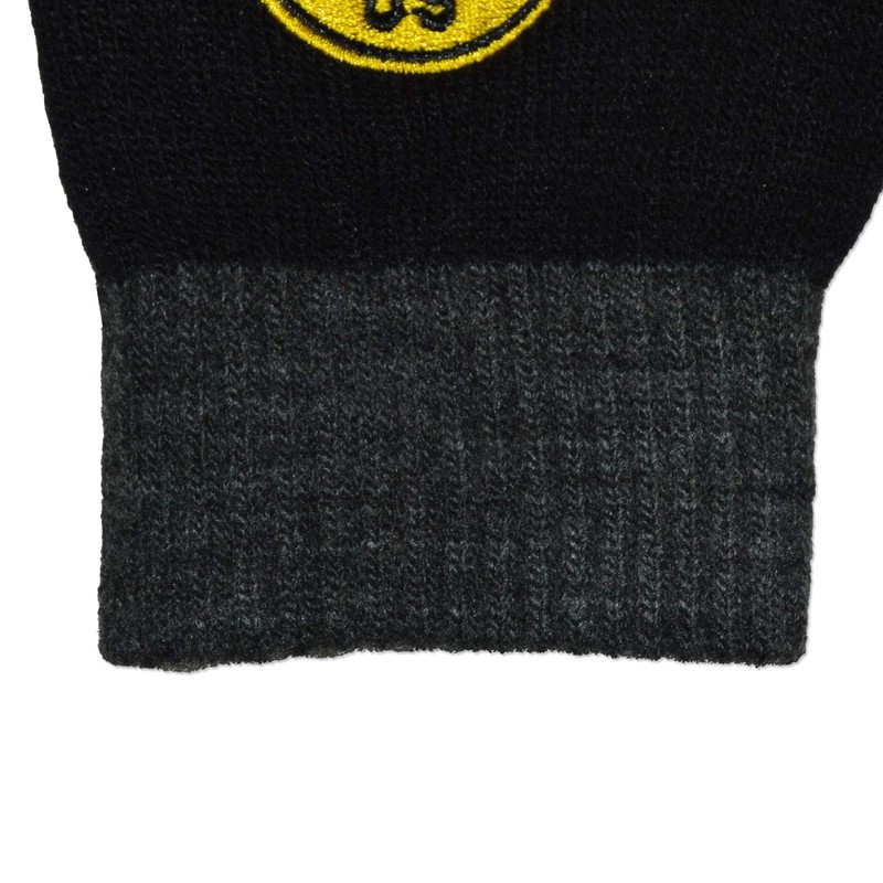 Borussia Dortmund, Smartphone gloves, black-yellow, M