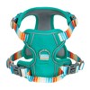 ARING PET No Pull Dog Harness-Soft Breathable Teal Dog Harness