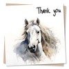 Beautiful Watercolour White Horse Thank You Card - Appreciation Card