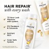 Pantene Pro 820 Shampoo Acondicionador