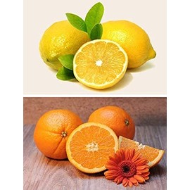 Dufte Momente Whirlpool Orange Citrus Fragrance 500 ml in PET Bottle with Drip Cap and Child Safety Lock