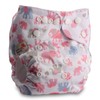 Littles & Bloomz, Reusable Pocket Cloth Nappy, Fastener: Popper, Set