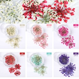 6 Gläser getrocknete Blumen für Nägel Kit DIY Mini Blumenblätter Nagel Aufkleber Natürliche echte Harz trockene Blumen Abziehbilder Zubehör für Nägel Kunst Designs 3D Handwerk Nägel Kunst Designs