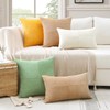 OTOSTAR Set of 1 Decorative Throw Pillow Cover Soft Corduroy