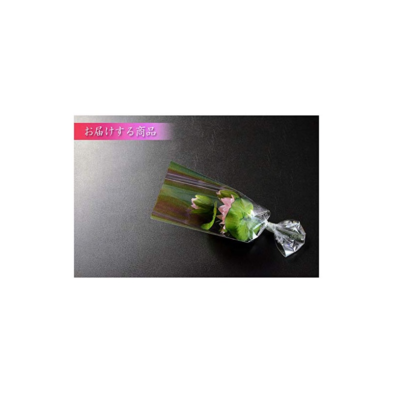 Buddhen Endo Brand: Buddha Equipment, Buddha Flowers, Silk Flower (Real
