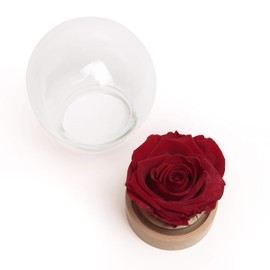 ROSEMARIE SCHULZ Heidelberg Infinity Rose in Glass Real Durable Long Lasting Rose in Glass Ball (Large, Dark Red)