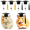 FOIMAS Mini Graduation Caps with Tassel,4pcs Small Animal Bachelor Hats