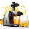 Cold Press Juicer Machine: Easy to Clean Slow Masticating Extractor