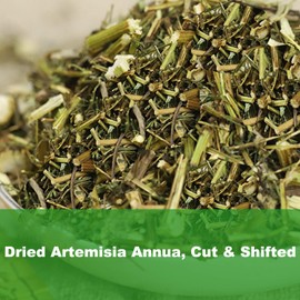 Natural Artemisia Annua, Dried Sweet Wormwood, Herbal Loose Leaves (4.0 oz)