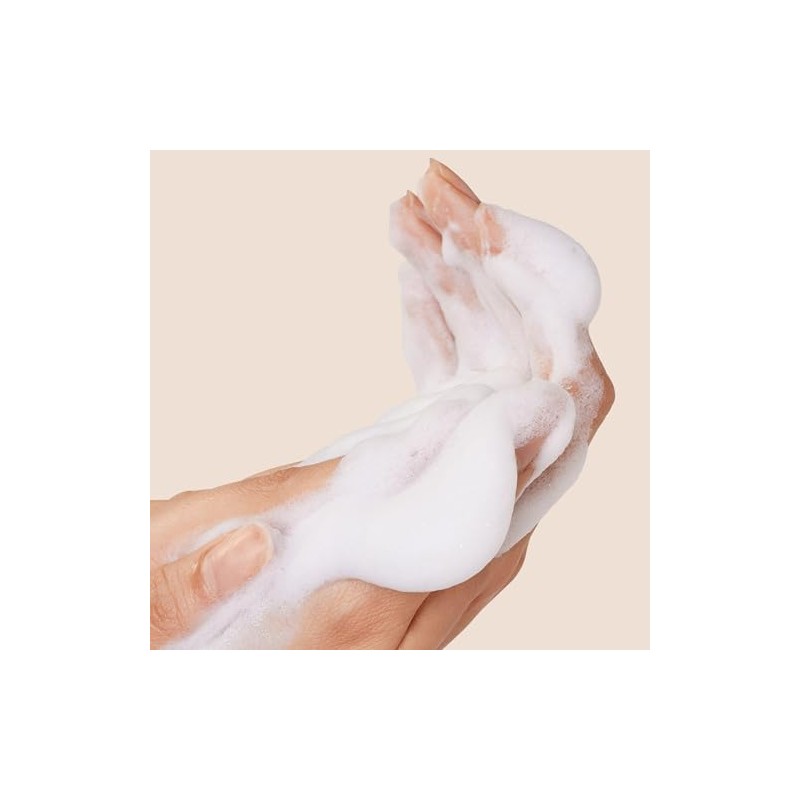 Origins Checks and Balances Frothy Face Wash, 5 Ounce
