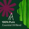 Plant Therapy Nature Shield Essential Oil Blend Pre-Diluted Roll-On 10
