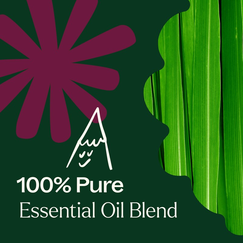 Plant Therapy Nature Shield Essential Oil Blend Pre-Diluted Roll-On 10