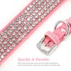 PET ARTIST Rhinestone Dog Collar and Leash Set, Sparkling Girl