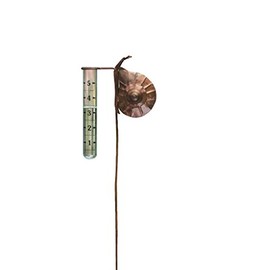 Ancient Graffiti Staked Flamed Snail Rain Gauge, 5 by 27-Inch, Clear (AG-17007)