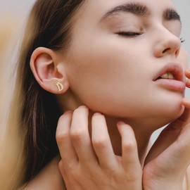 Letter Stud Earrings Crown Earrings for Girls 925 Sterling Silver Cubic Zirconia Initial Stud Earrings Hypoallergenic Earrings for Women (D)