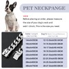 Solid Steel Dog Chain Collar with Buckle,19mm Wide,Heavy Duty Strong