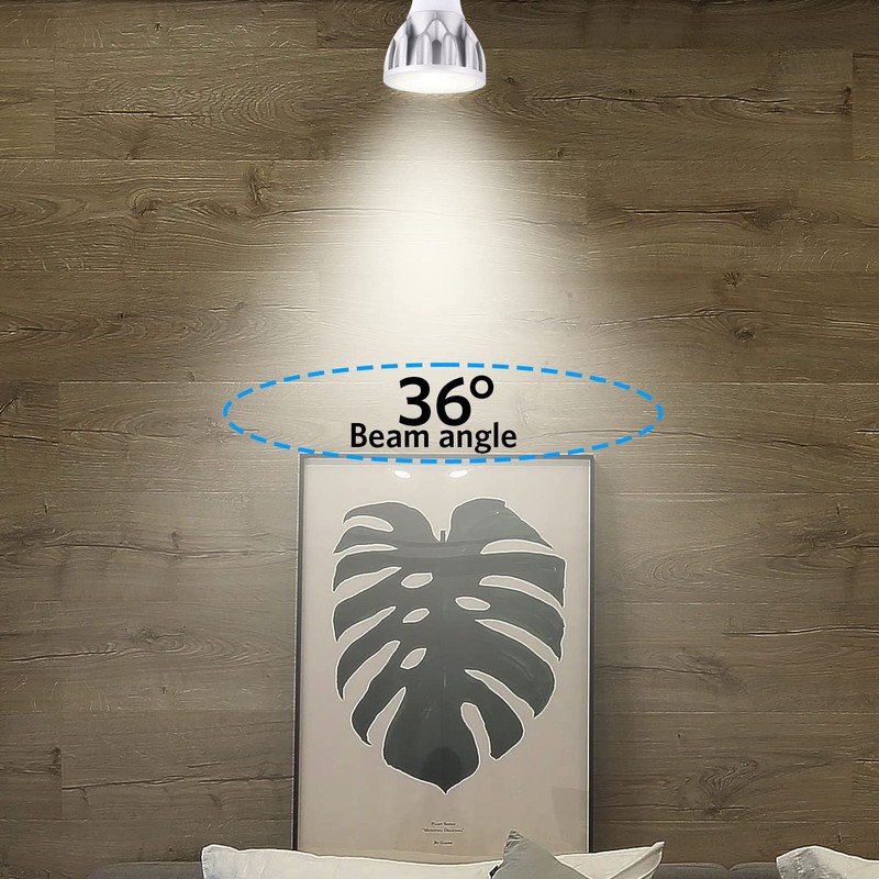 Familite PAR20 LED Bulbs, 12W Dimmable Spot Light, 100W Halogen