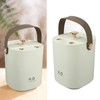 1.2L Double Spray Humidifier with Night Light USB Powered Large