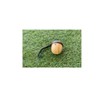 Acorn Wooden Speaker, Small, Cute, Small, Cute Design, Long Playback