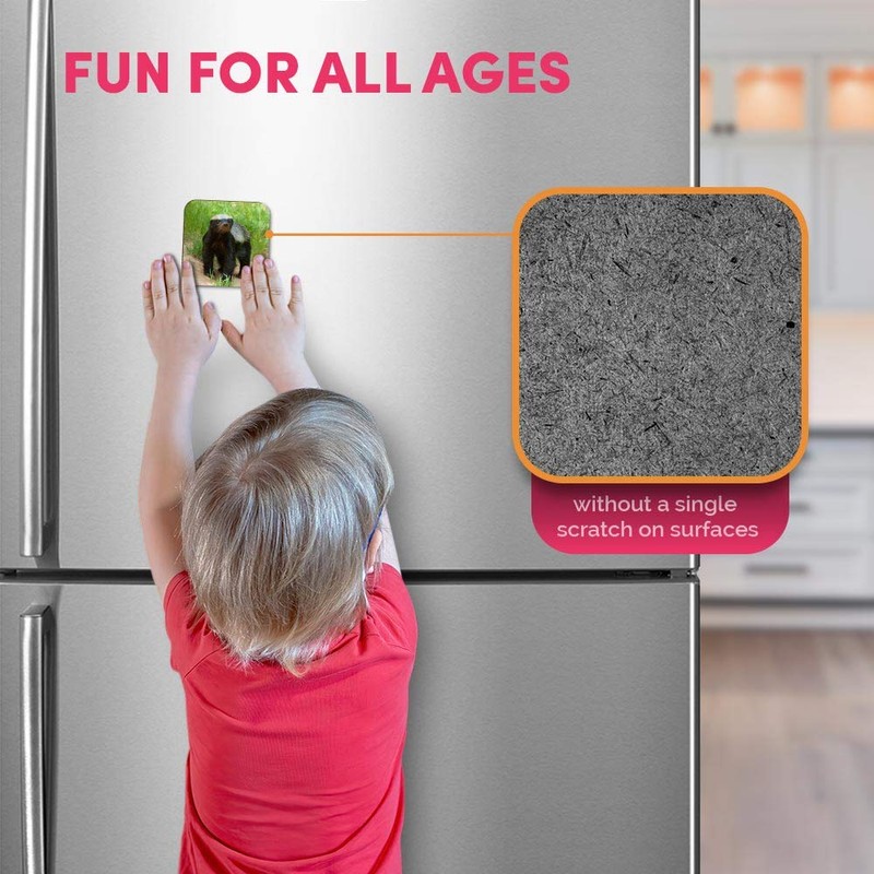 1 x Square MDF Fridge Magnet - Wildlife Animal Honey