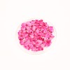 1 Boxes 50 pcs Nail Drying Flower, DIY, 3D Nail