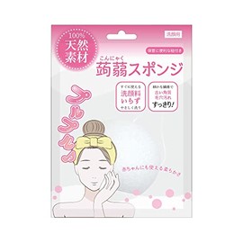 Ryon Planning Konikaka Sponge Wet Type KN-01 (1 piece)