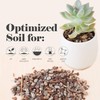 Bonsai Jack Succulent, Cactus and Bonsai Soil - Jacks Gritty