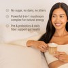 Live Conscious Beyond Brew Duo Flavor Bundles - Functional Mushroom
