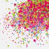 LeChat Glitter EFFX "Neon Mania" | 2 oz. EFFX2-51