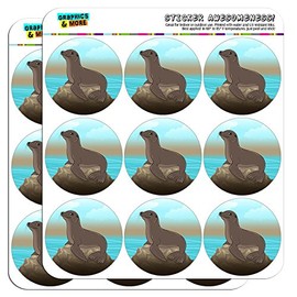 Sea Lion on Rock Seal 2" Planner Calendar Scrapbooking Crafting Stickers - Opaque
