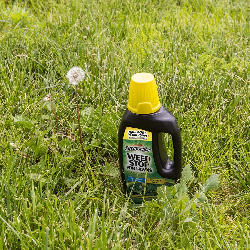 Spectracide 96392 Weed Stop for Lawns Concentrate (HG-96392) (32 fl