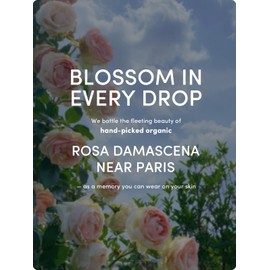 Kustie Smooth Rose Body Wash - Perfume Shower Gel with Squalane & Hyaluronic to Moisturizing, Antioxidant, Hydrate Skin丨Nature Rose & Rosehip Oil Add丨Paraben, Phthalate Free丨100% Vegan丨12.8 fl oz