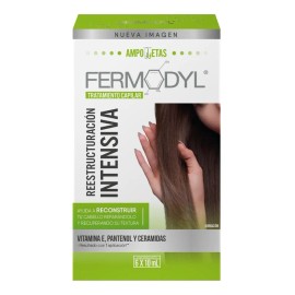 Tratamiento Ampolleta Fermodyl Reconstrucción 6 X 10 Ml