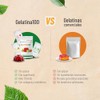 Nutrasien100 Gelatina Azúcar Keto Colágeno Carnitina Superfoods Sabores Naturales Postre