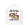 Funny Novelty Christmas Cards | I Only Have Pies For