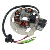 Motorsupermarkets Stator for Eton NXL-90 Thunder 90D Magneto Coil 650234