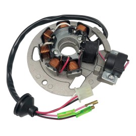 Motorsupermarkets Stator for Eton NXL-90 Thunder 90D Magneto Coil 650234