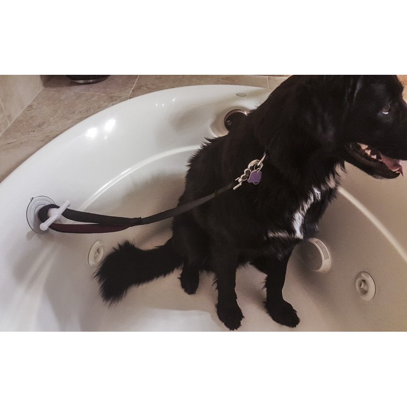 STAUBER, Samson Suction pet Dog & cat Bathtub, Shower &