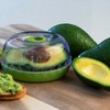 Cuisena Kitchen Products Fresh Keeper Pod, Citrus