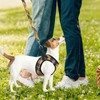 PUPTECK Adjustable Dog Harness Collar and Leash Set Step in