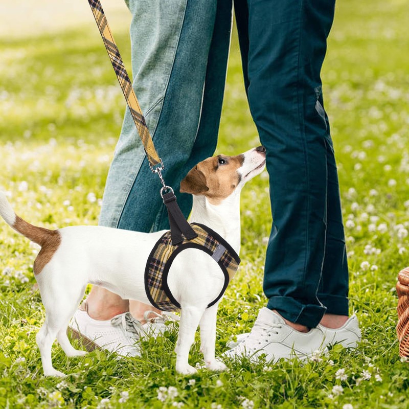 PUPTECK Adjustable Dog Harness Collar and Leash Set Step in