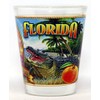 World By Shotglass Florida State Mural Shot Glass jks