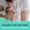 Seventh Generation Baby Wipes, Free & Clear with Flip Top