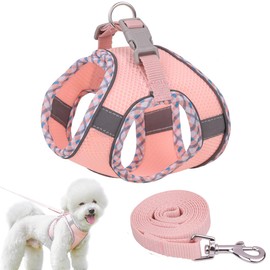 Arnés para Perro y Gato - Máxima protección y Comodidad para tu Mascota en Todo Momento,con Bono de Correa de 1.5 Metros (Rosa, M)