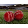 Cricket Leather Ball (set of 2) 50 Over Cricket Ball